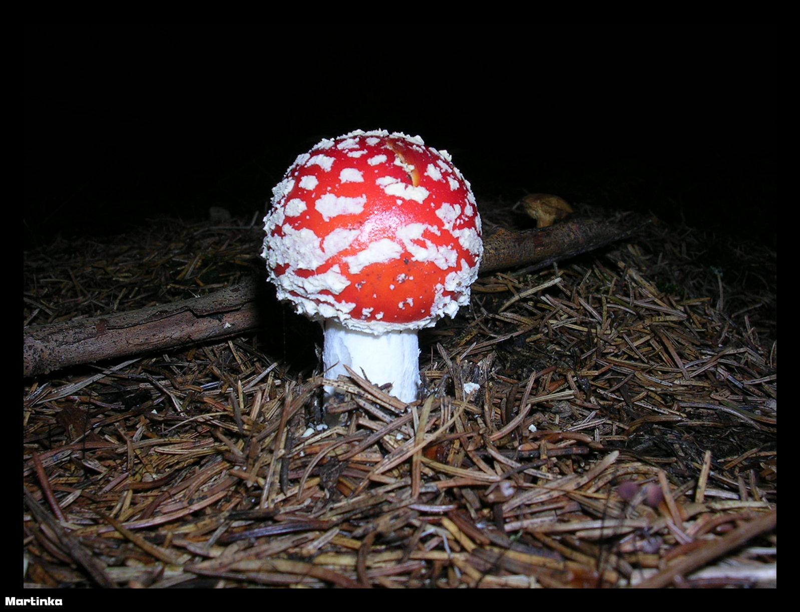 DSCN2171.JPG