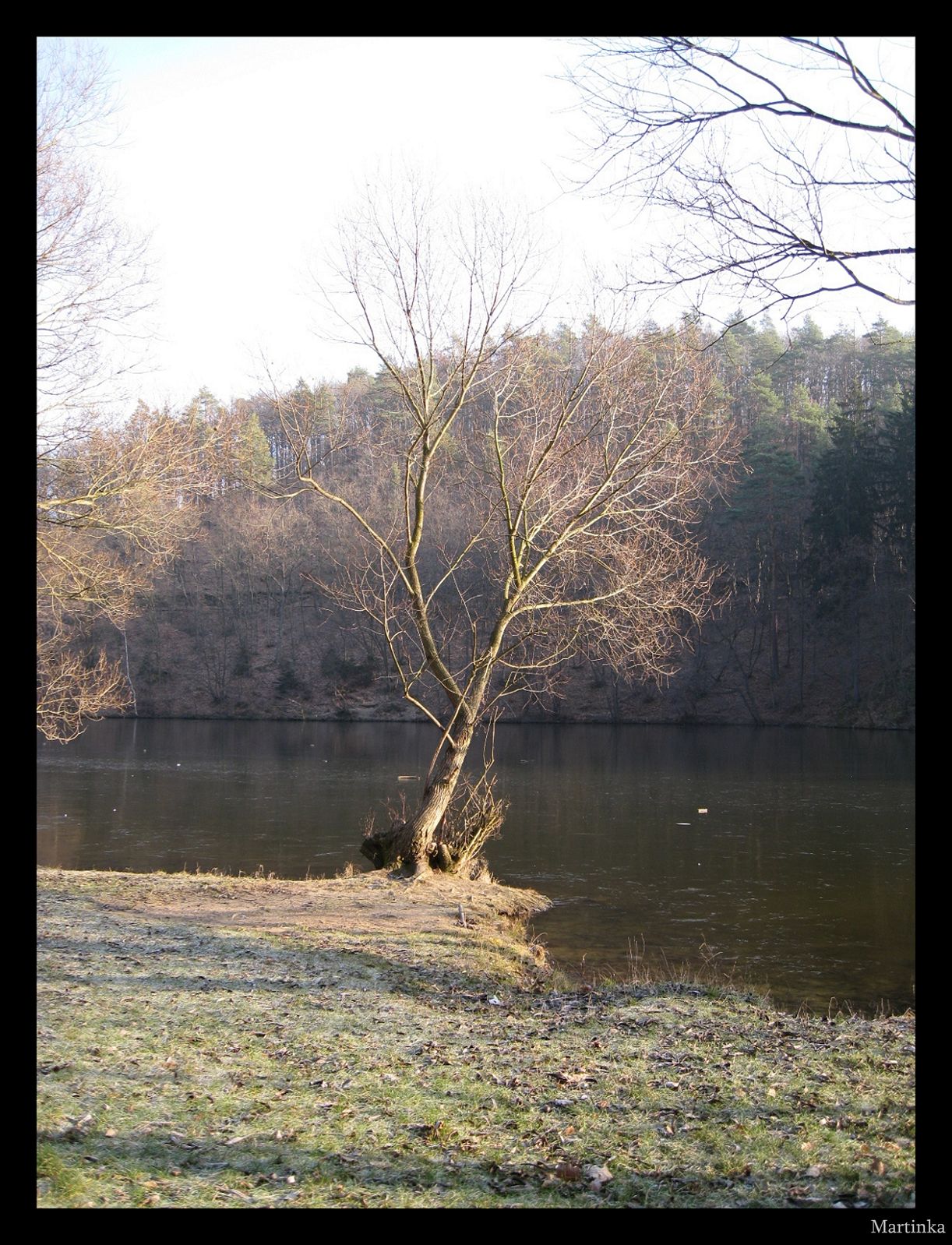 Frame_IMG_3673.JPG
