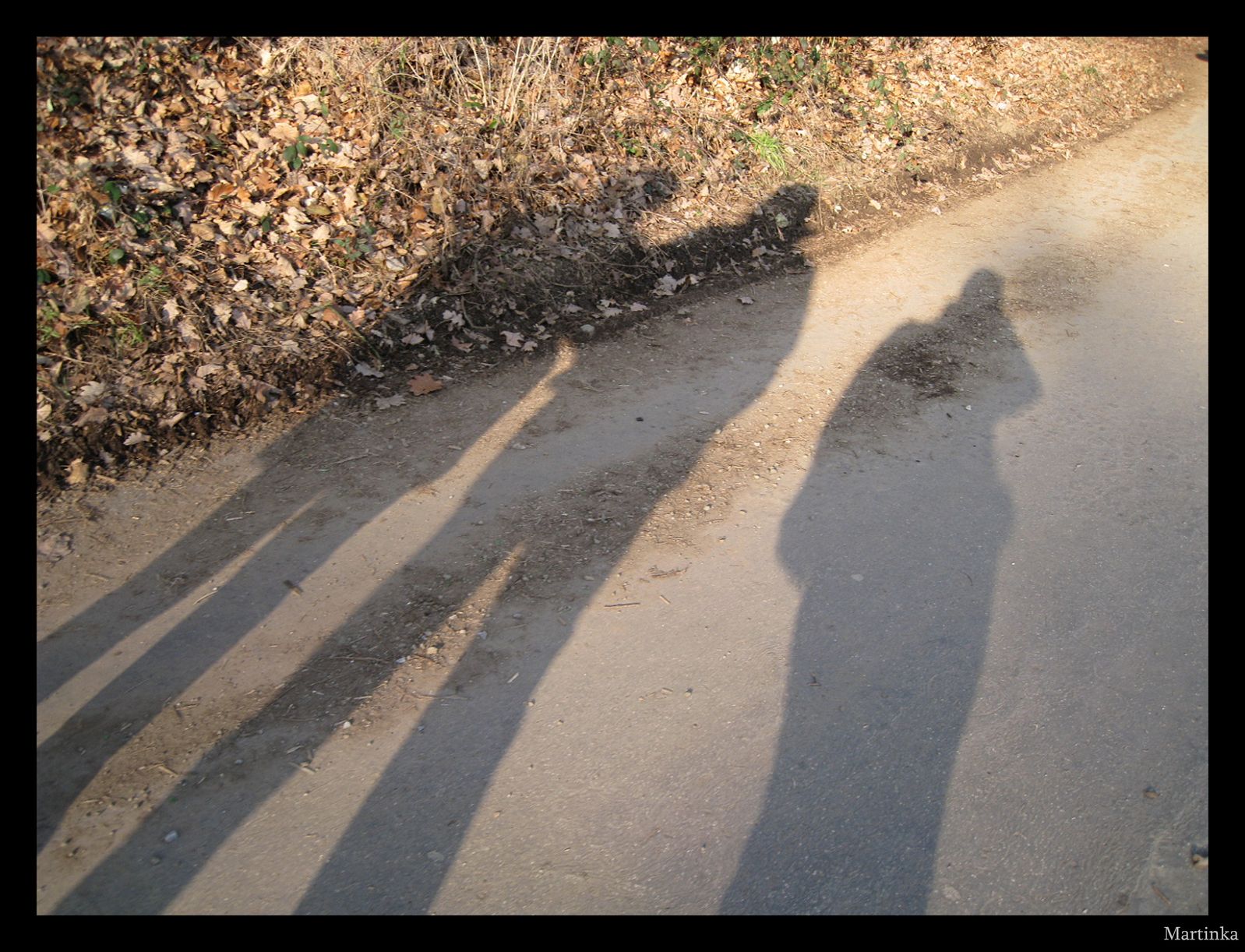 Frame_IMG_3676.JPG