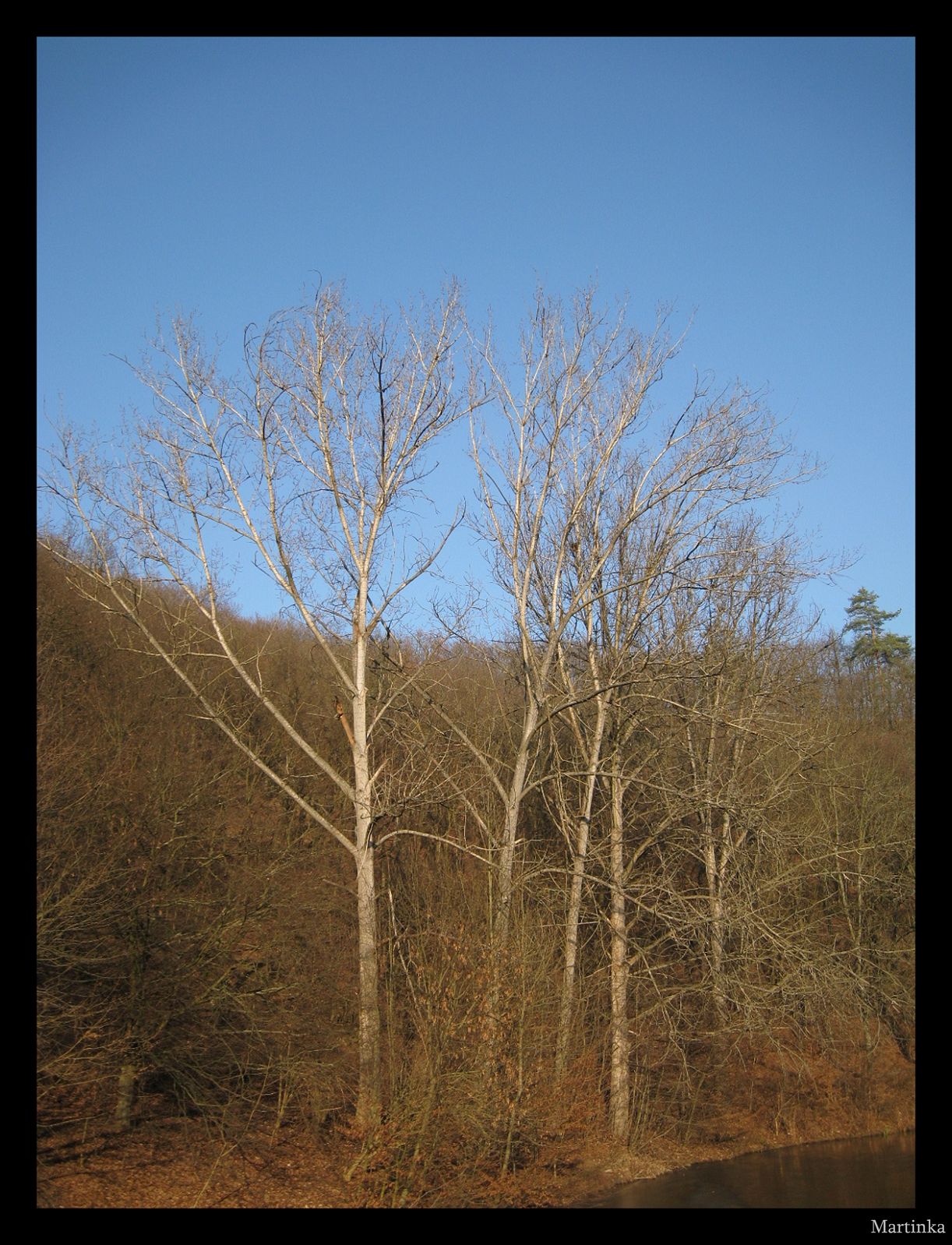 Frame_IMG_3681.JPG