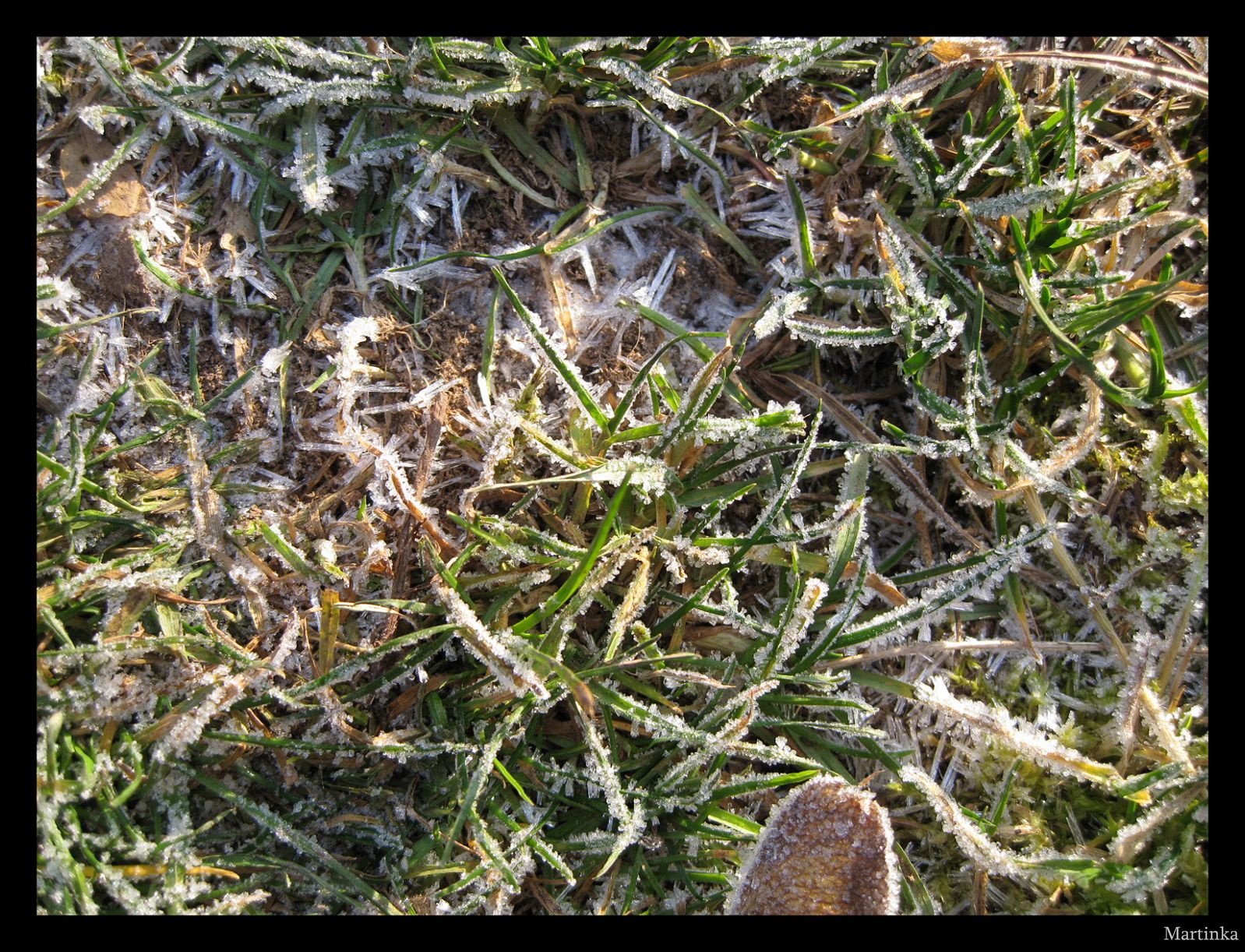 Frame_IMG_3684.JPG