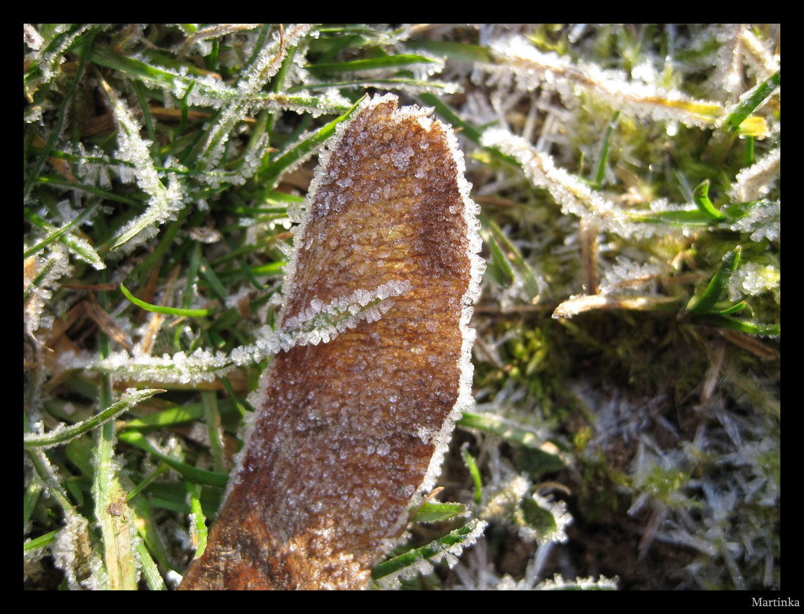 Frame_IMG_3686.JPG