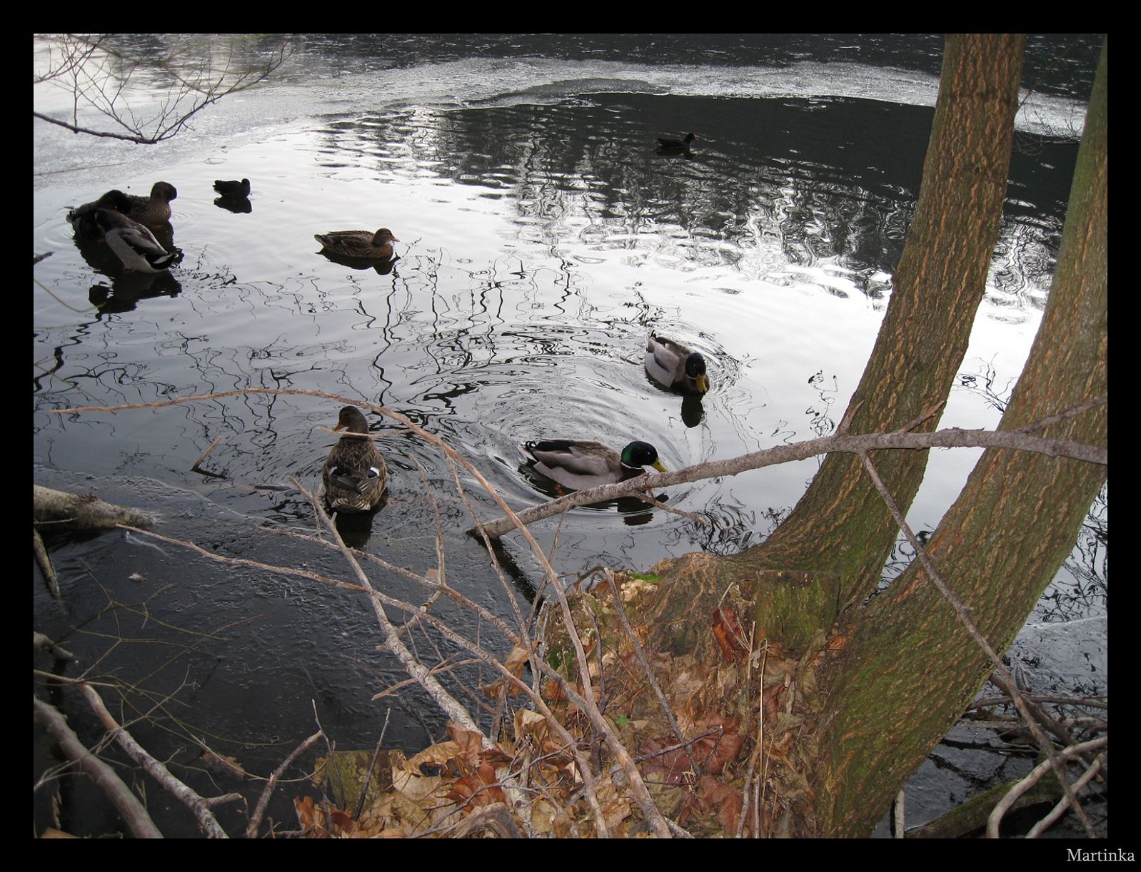 Frame_IMG_3695.JPG