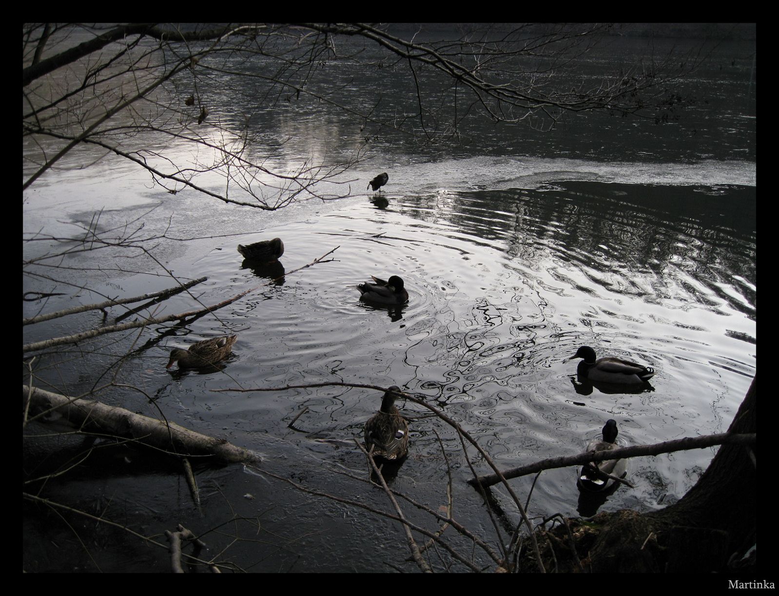 Frame_IMG_3715.JPG