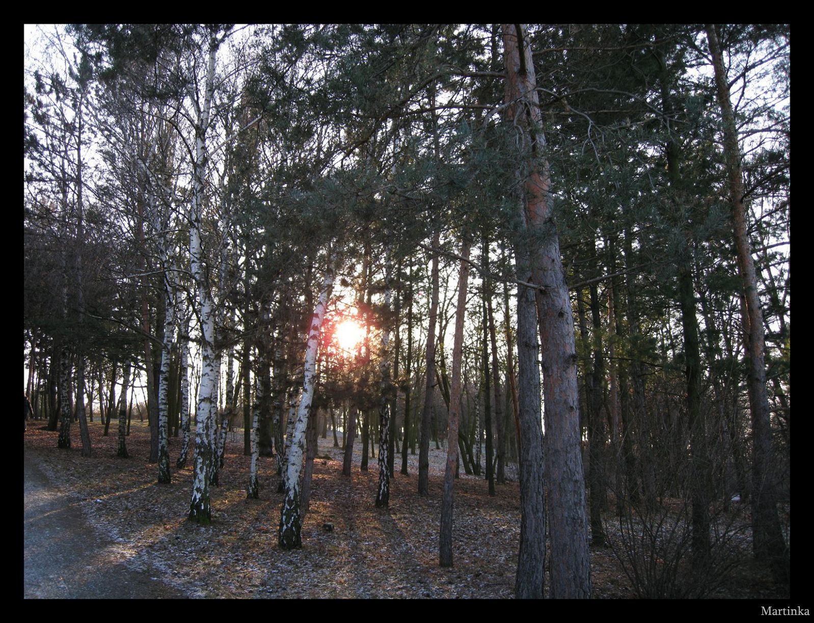 Frame_01.jpg