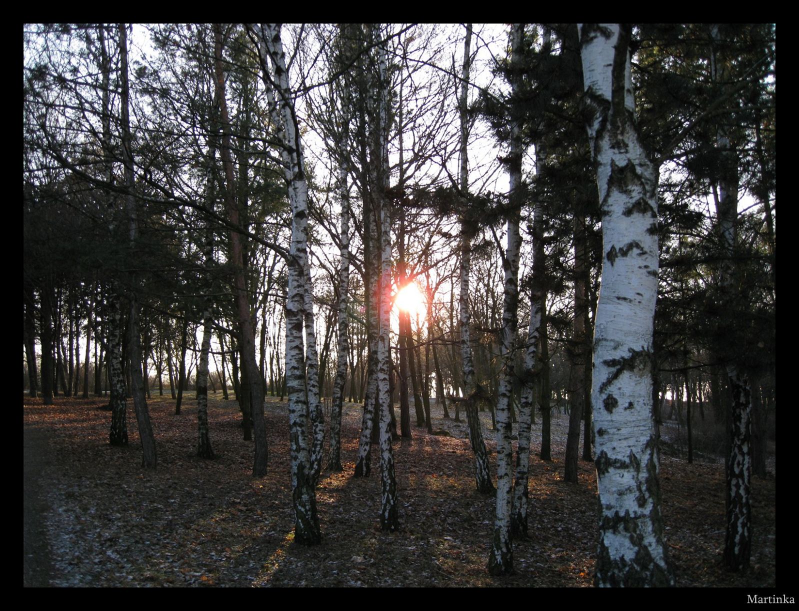 Frame_02.jpg