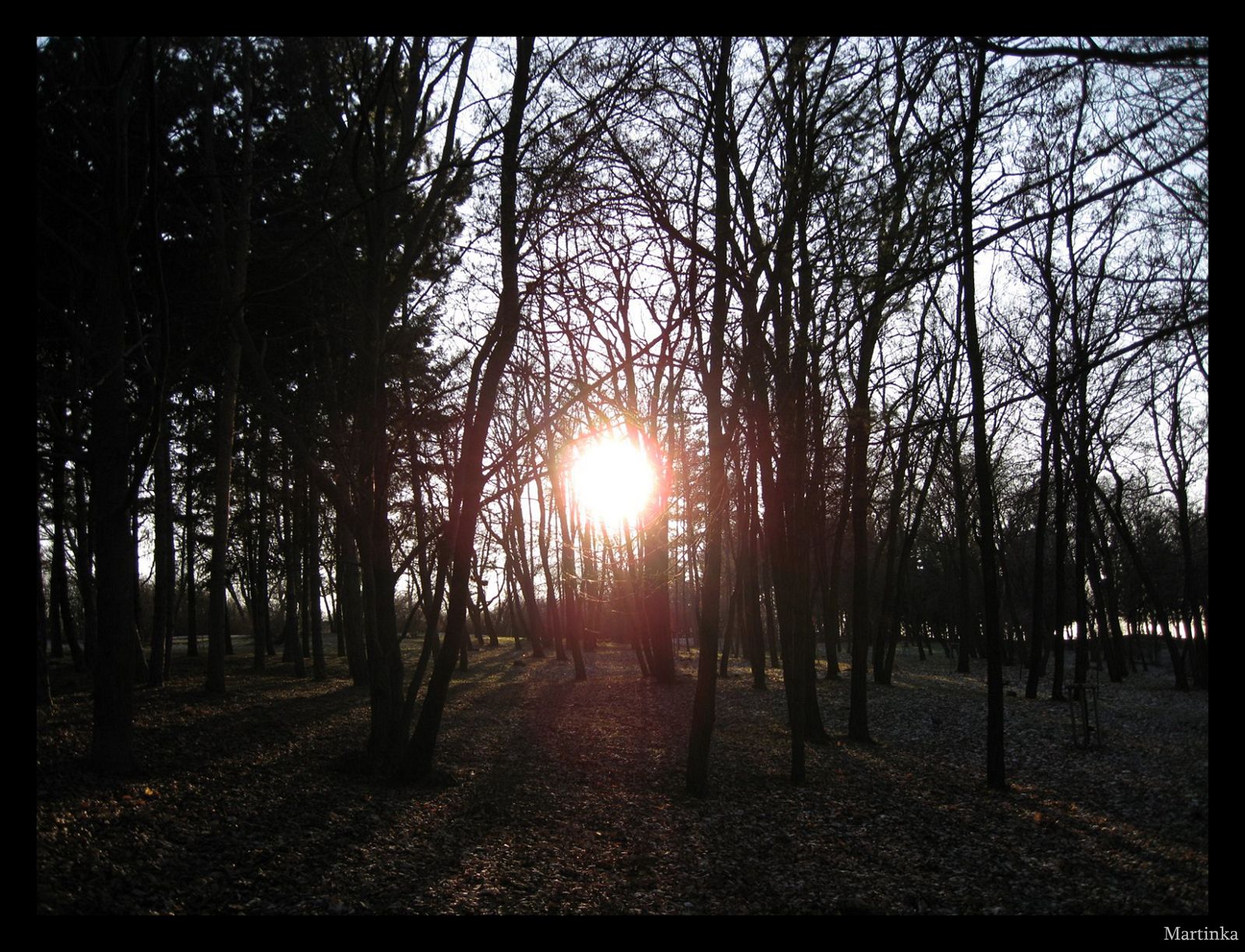 Frame_03.jpg