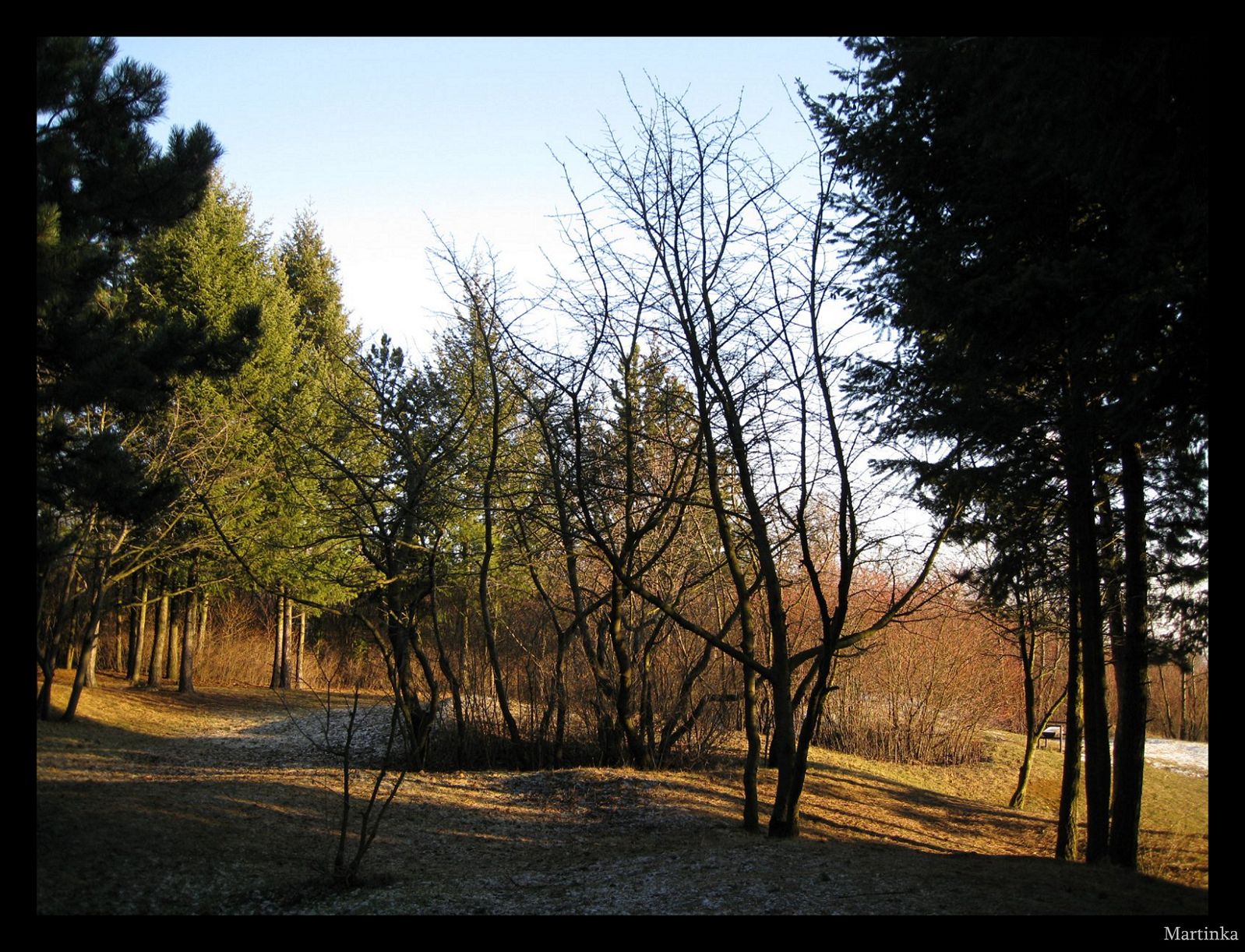 Frame_09.jpg