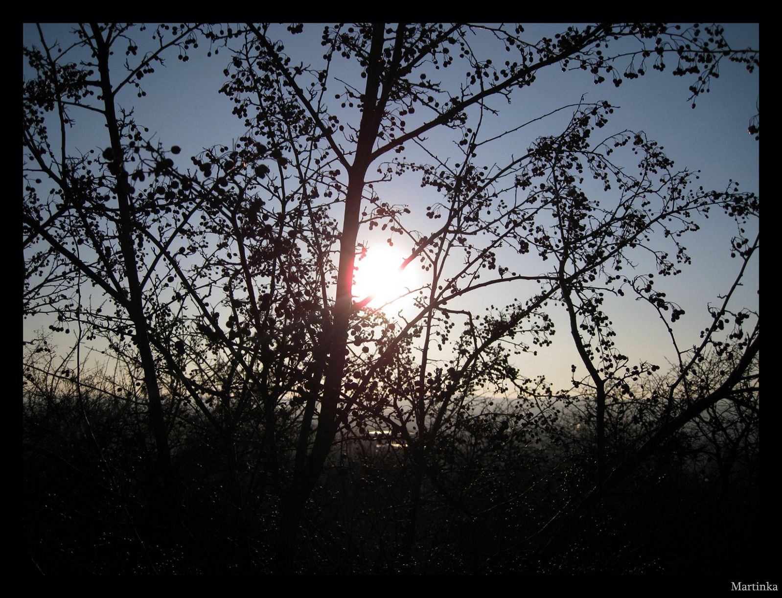 Frame_12.jpg
