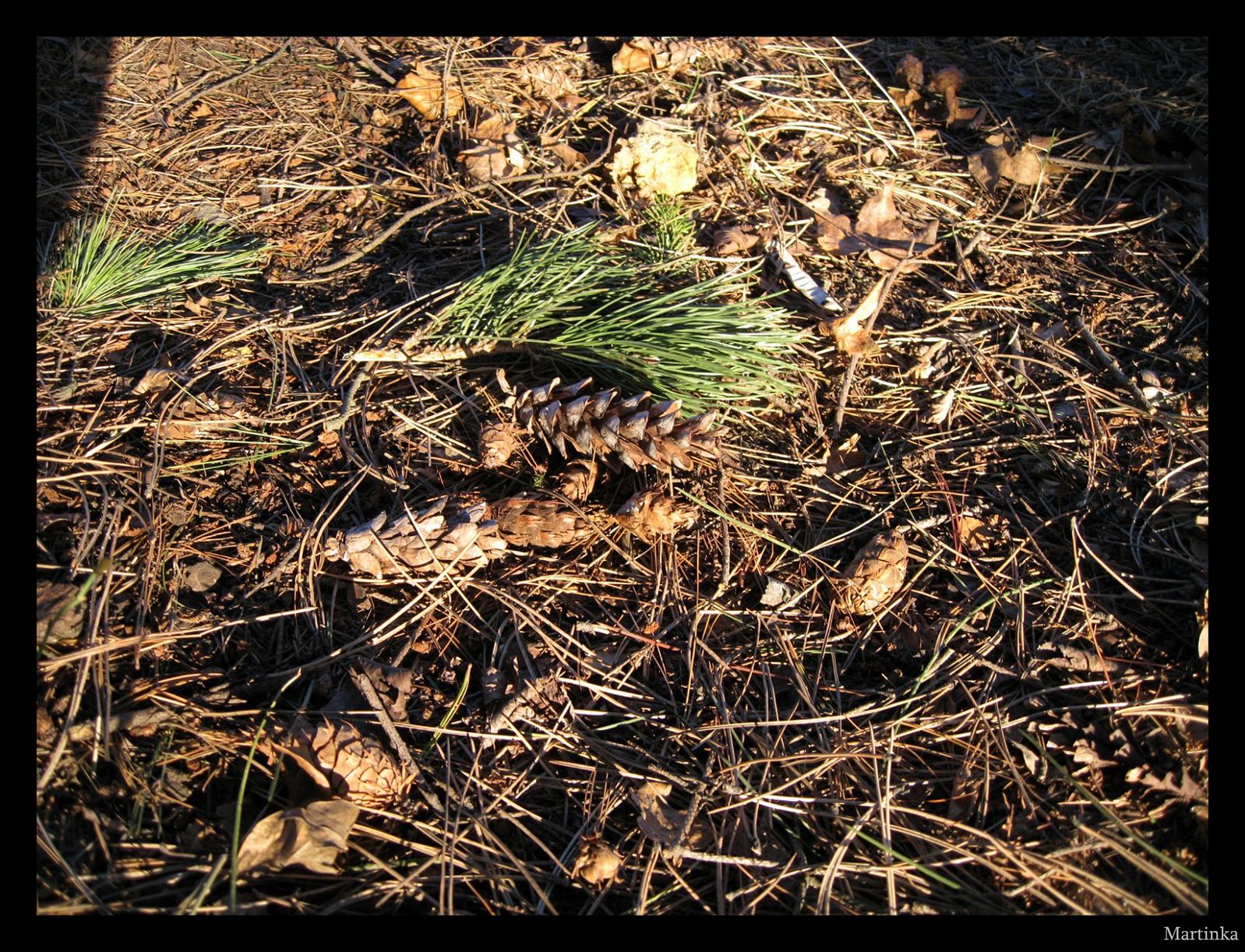 Frame_15.jpg