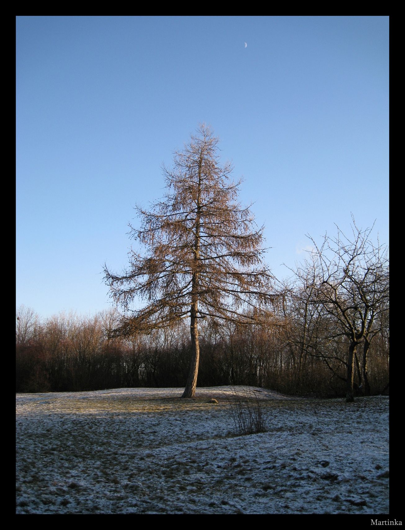 Frame_IMG_3777.JPG