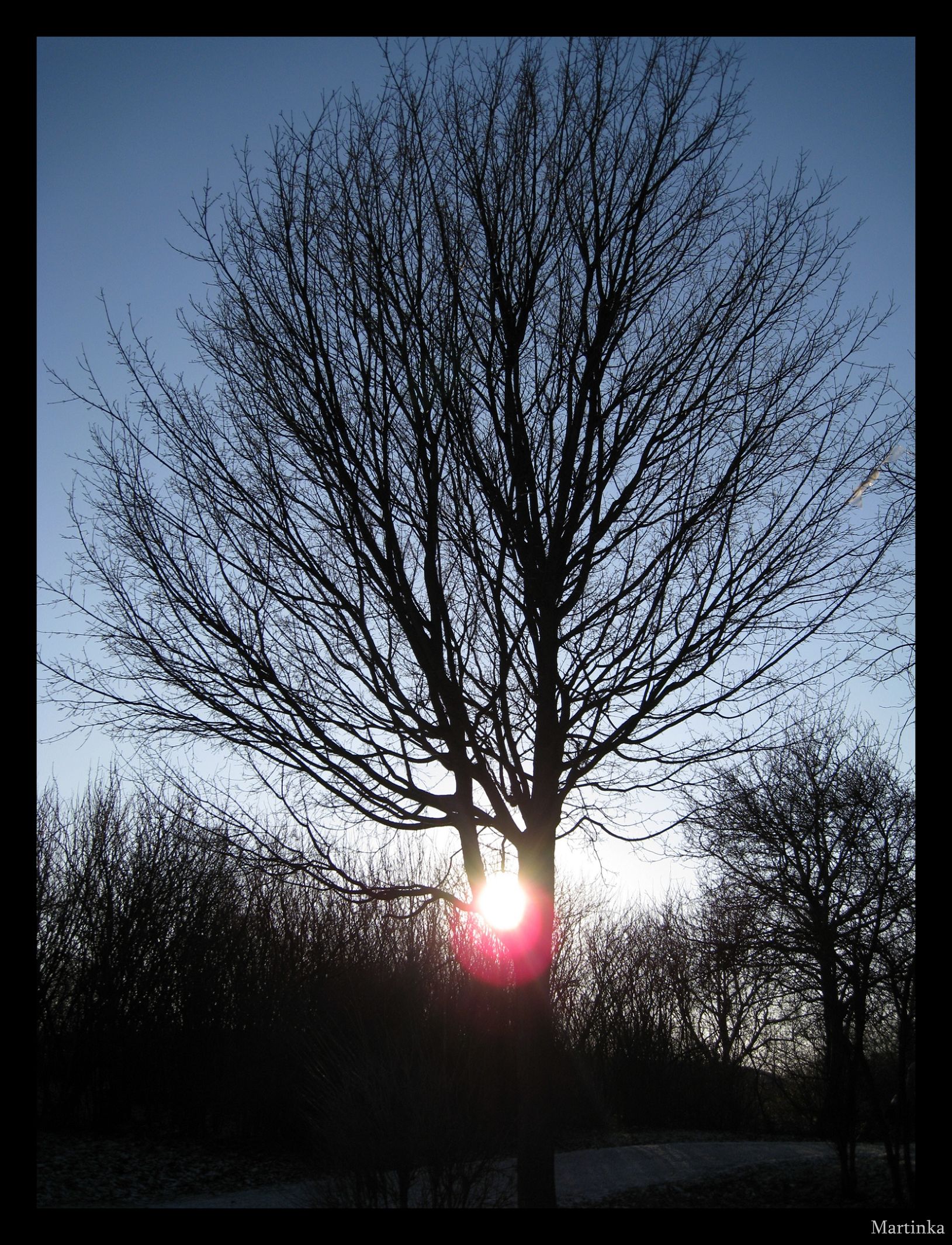 Frame_IMG_3778.JPG