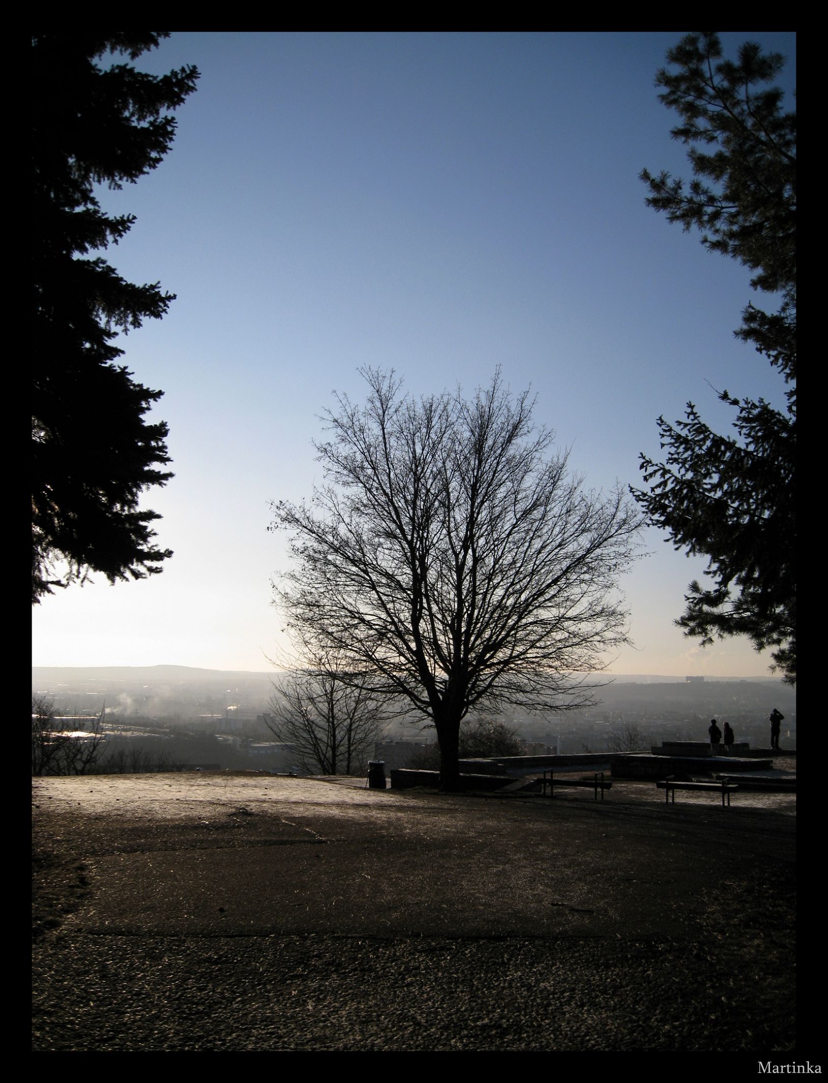 Frame_IMG_3779.JPG