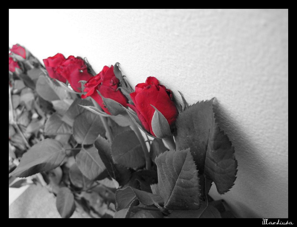 Frame_42.jpg