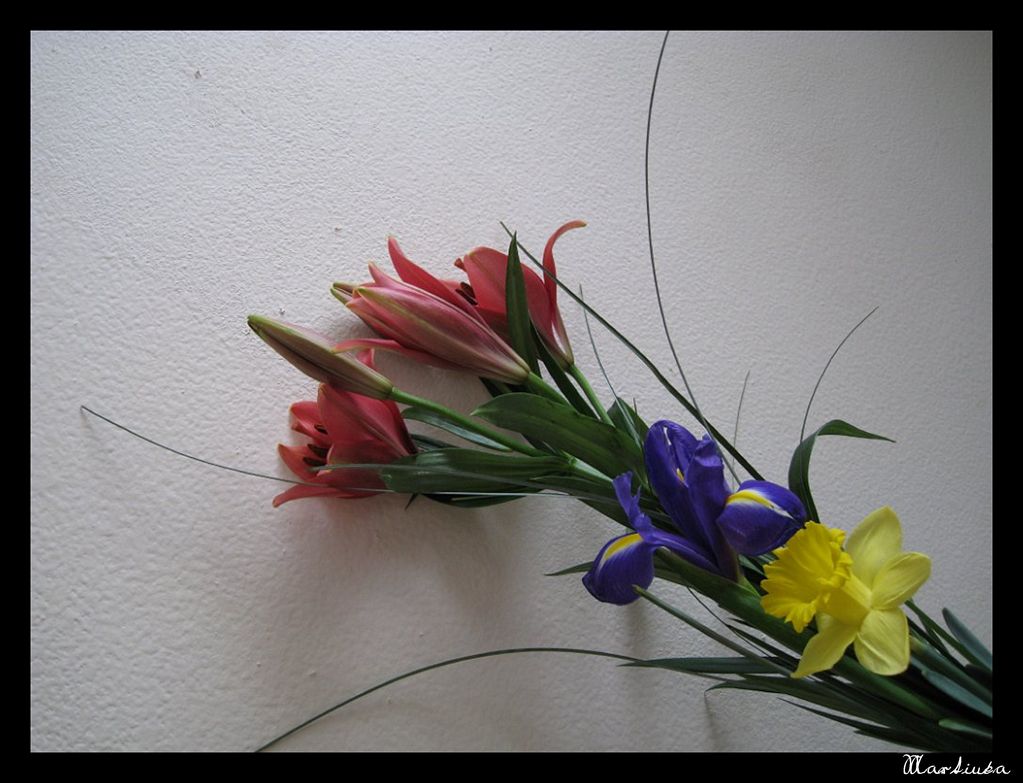 Frame_01.jpg