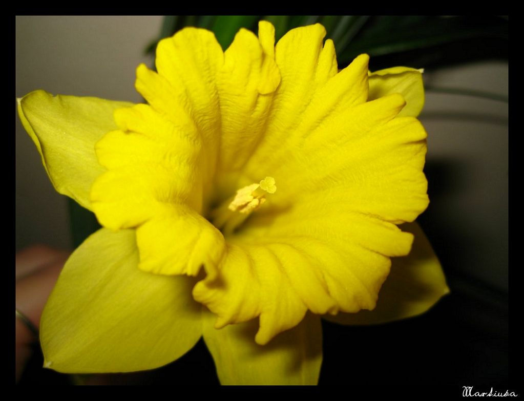 Frame_09.jpg