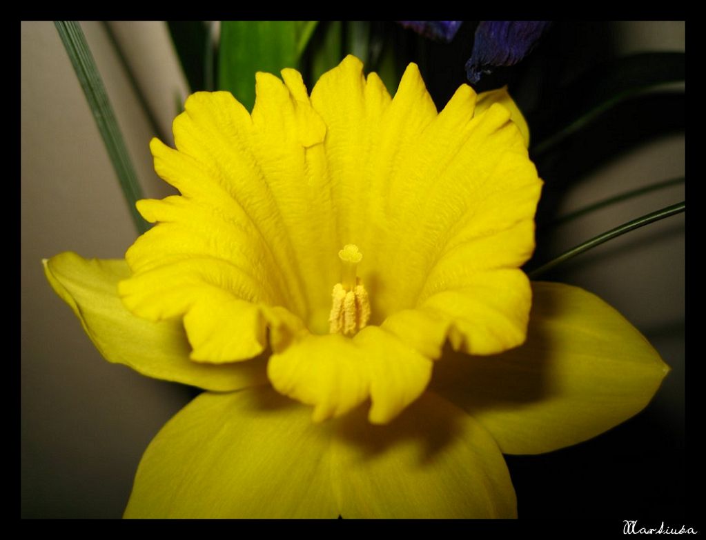 Frame_12.jpg