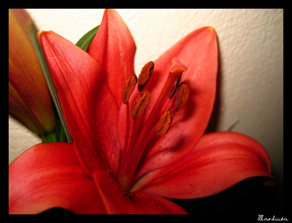 Frame_13.jpg