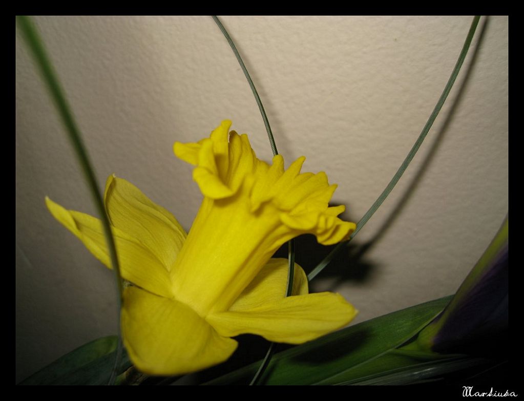 Frame_18.jpg