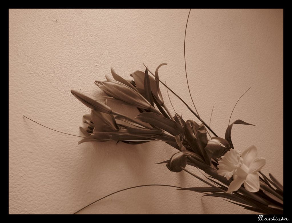 Frame_23.jpg