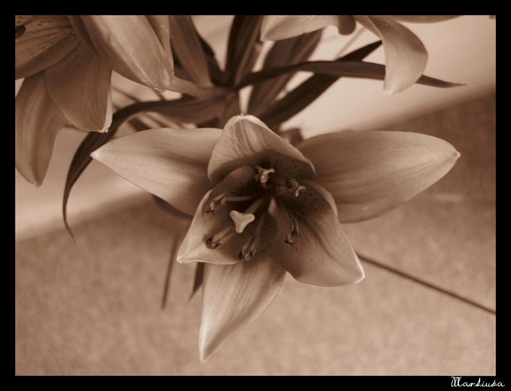 Frame_25.jpg