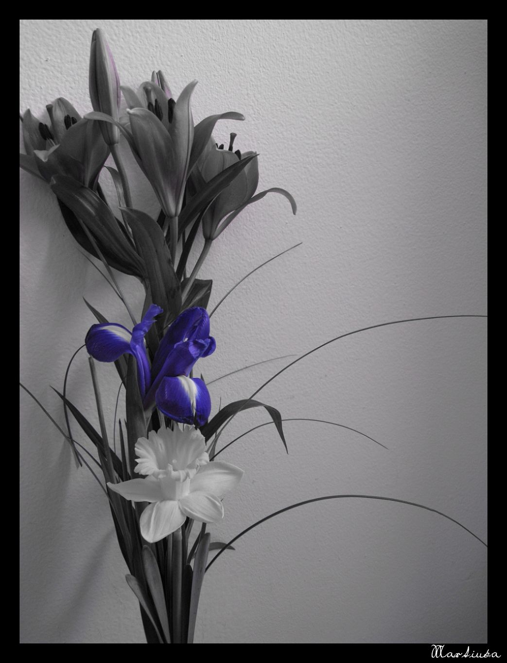 Frame_IMG_4255.jpg