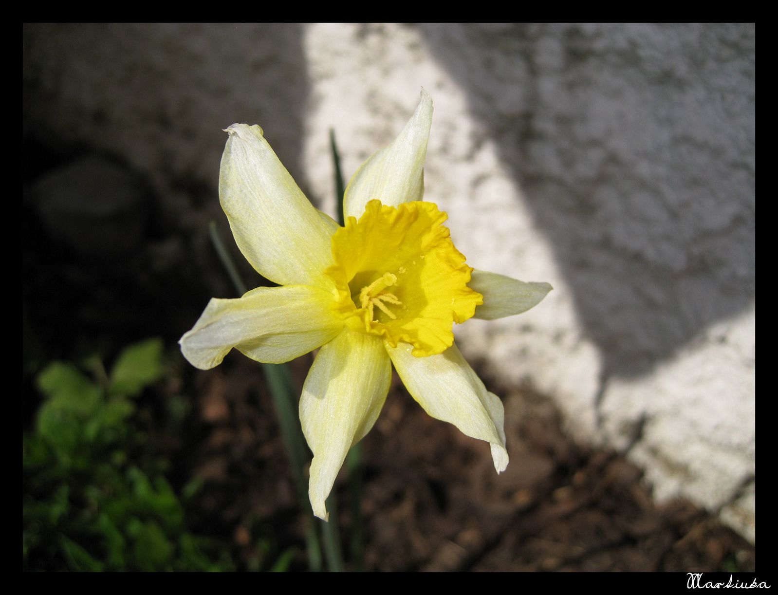 Frame_IMG_5324.JPG