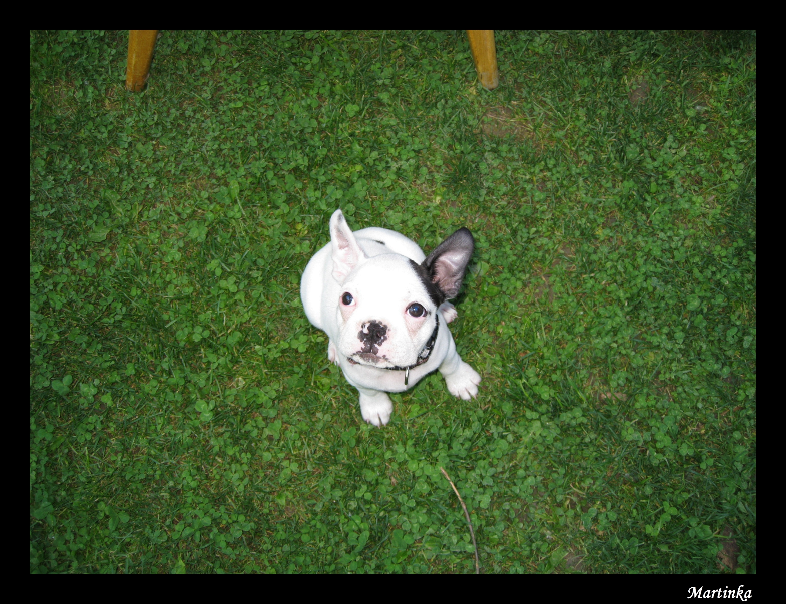 Frame_IMG_6036.jpg