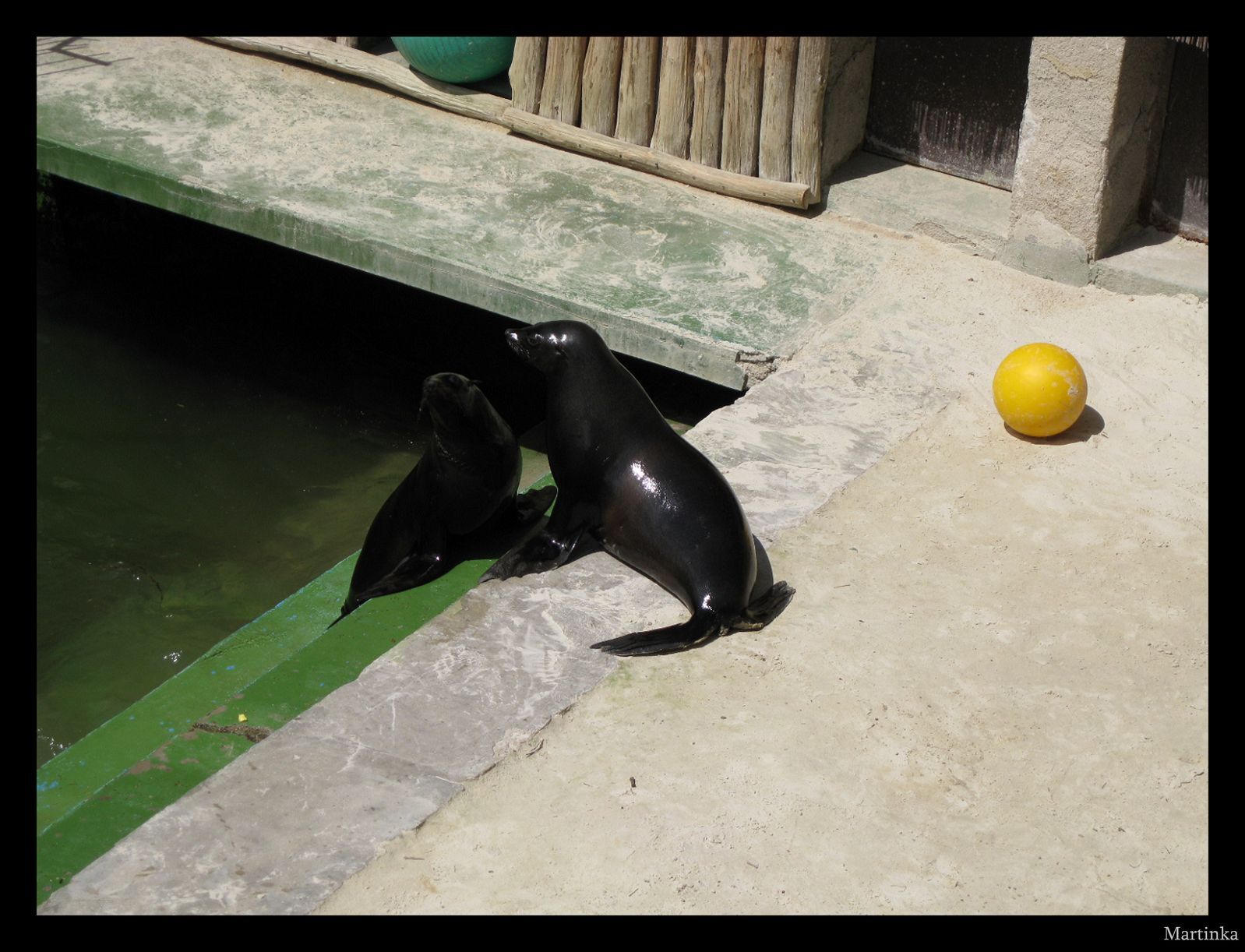 Frame_IMG_1782.JPG