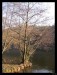 Frame_IMG_3669.JPG
