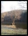 Frame_IMG_3673.JPG