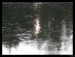 Frame_IMG_3679.JPG