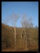 Frame_IMG_3681.JPG