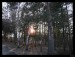 Frame_01.jpg