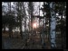 Frame_02.jpg