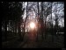 Frame_03.jpg