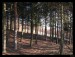 Frame_08.jpg