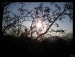 Frame_11.jpg