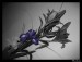 Frame_07.jpg