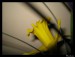 Frame_16.jpg