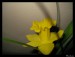 Frame_17.jpg