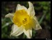 Frame_IMG_5337.JPG