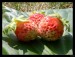 DSCN0514.JPG