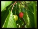 DSCN0519.JPG
